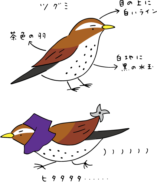 2017年1月町内会だより　この町おさんぽコラム