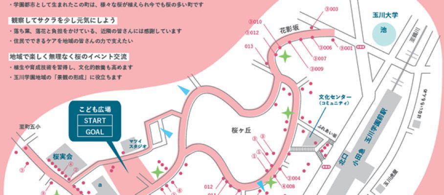 2017年　さくらの町玉川学園　さくらオリエンテーション　春爛漫！花を巡って焼き団子