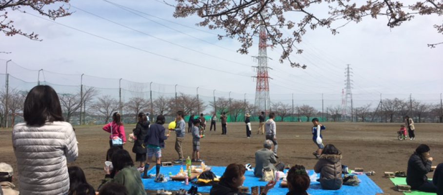 2017年4月号町内会だより　第8地区　お花見交流会