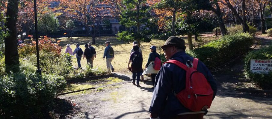 2017年12月町内会だより　秋の健康ウオーキング　外周道路