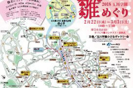 玉川学園　2018年雛めぐり