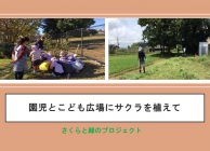 園児こども広場にサクラを植えてA