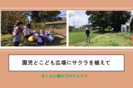 園児こども広場にサクラを植えてA