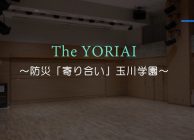 The YORIAI